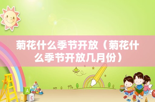 菊花什么季节开放（菊花什么季节开放几月份）