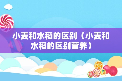 小麦和水稻的区别（小麦和水稻的区别营养）