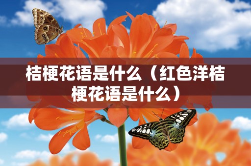 桔梗花语是什么（红色洋桔梗花语是什么）