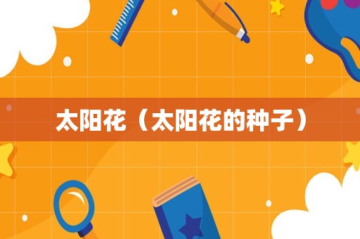 太阳花（太阳花的种子）