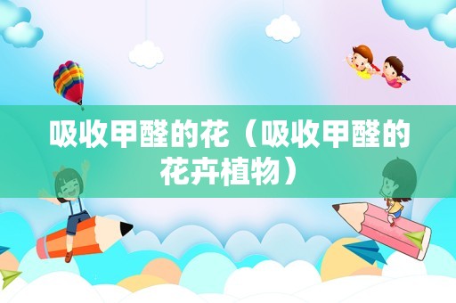 吸收甲醛的花（吸收甲醛的花卉植物）