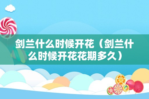 剑兰什么时候开花（剑兰什么时候开花花期多久）