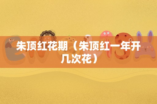 朱顶红花期（朱顶红一年开几次花）