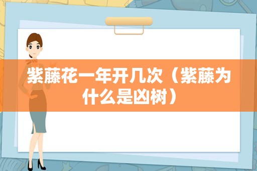紫藤花一年开几次（紫藤为什么是凶树）