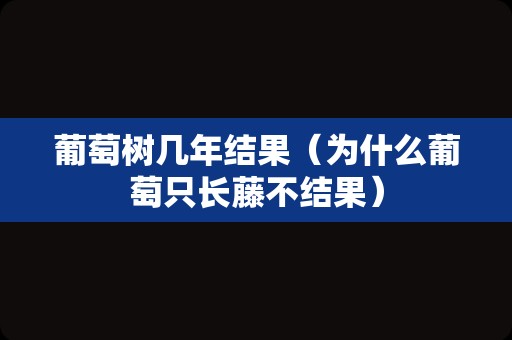 葡萄树几年结果（为什么葡萄只长藤不结果）