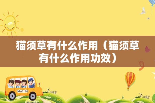 猫须草有什么作用（猫须草有什么作用功效）