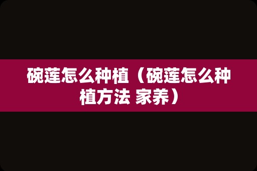 碗莲怎么种植（碗莲怎么种植方法 家养）