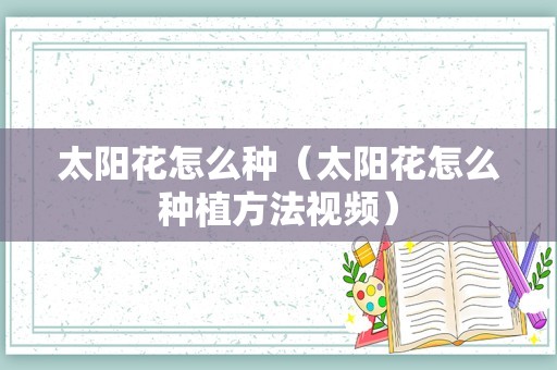 太阳花怎么种（太阳花怎么种植方法视频）
