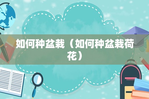 如何种盆栽（如何种盆栽荷花）