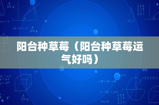 阳台种草莓（阳台种草莓运气好吗）