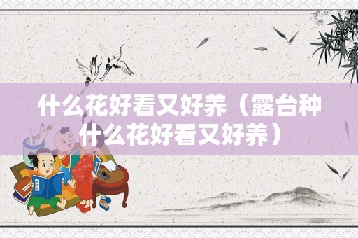 什么花好看又好养（露台种什么花好看又好养）