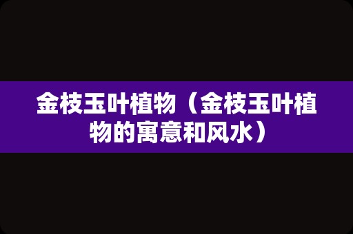 金枝玉叶植物（金枝玉叶植物的寓意和风水）