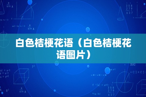 白色桔梗花语（白色桔梗花语图片）