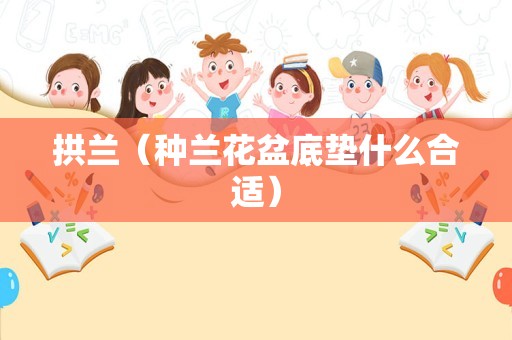 拱兰（种兰花盆底垫什么合适）