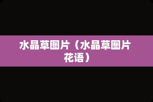 水晶草图片（水晶草图片 花语）