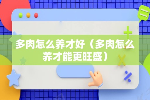 多肉怎么养才好（多肉怎么养才能更旺盛）