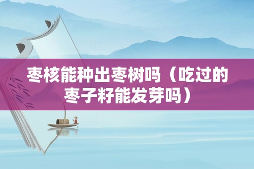 枣核能种出枣树吗（吃过的枣子籽能发芽吗）