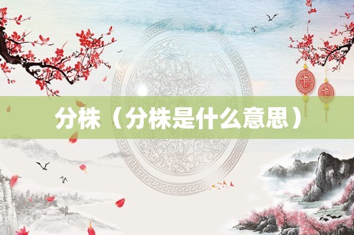 分株（分株是什么意思）