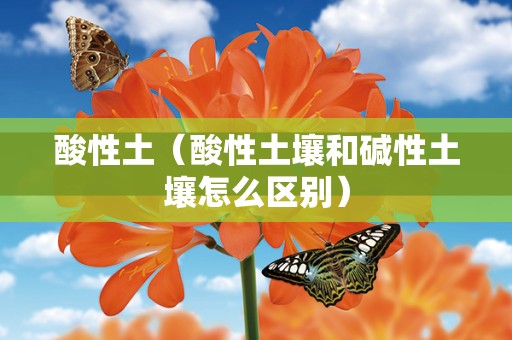 酸性土（酸性土壤和碱性土壤怎么区别）