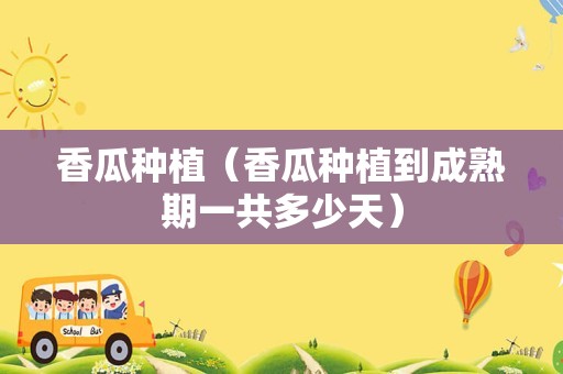 香瓜种植（香瓜种植到成熟期一共多少天）