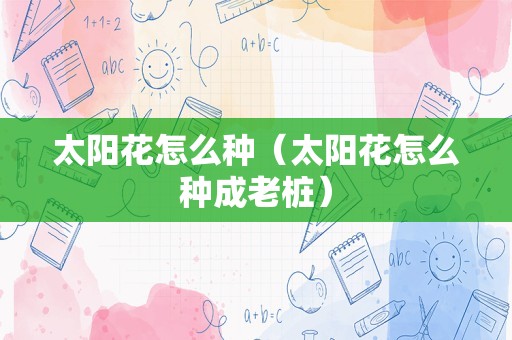太阳花怎么种（太阳花怎么种成老桩）