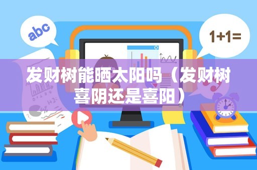 发财树能晒太阳吗（发财树喜阴还是喜阳）