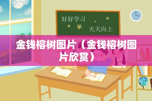 金钱榕树图片（金钱榕树图片欣赏）