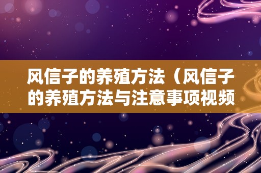 风信子的养殖方法（风信子的养殖方法与注意事项视频）