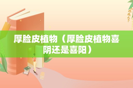 厚脸皮植物（厚脸皮植物喜阴还是喜阳）