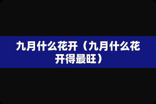 九月什么花开（九月什么花开得最旺）