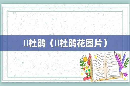 簕杜鹃（簕杜鹃花图片）