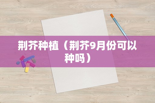 荆芥种植（荆芥9月份可以种吗）