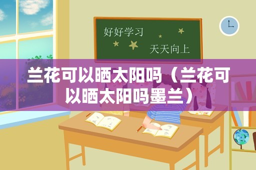 兰花可以晒太阳吗（兰花可以晒太阳吗墨兰）