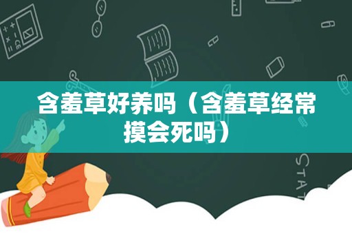 含羞草好养吗（含羞草经常摸会死吗）