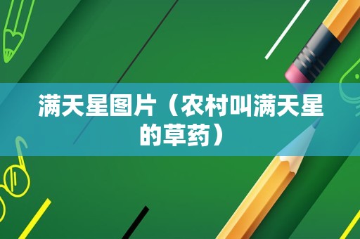 满天星图片（农村叫满天星的草药）