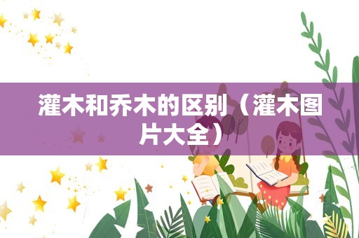 灌木和乔木的区别（灌木图片大全）