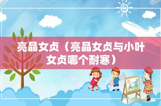 亮晶女贞（亮晶女贞与小叶女贞哪个耐寒）