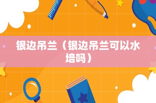 银边吊兰（银边吊兰可以水培吗）