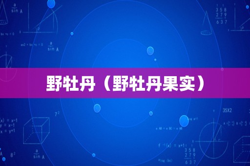 野牡丹（野牡丹果实）