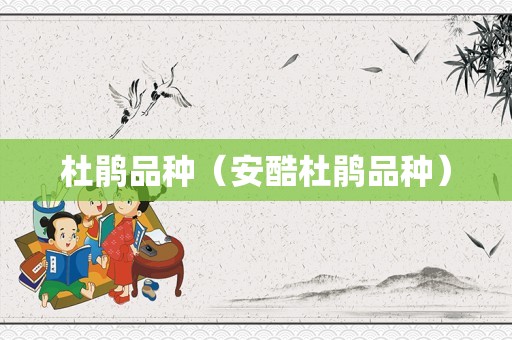 杜鹃品种（安酷杜鹃品种）