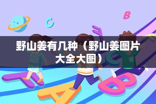 野山姜有几种（野山姜图片大全大图）