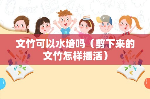 文竹可以水培吗（剪下来的文竹怎样插活）