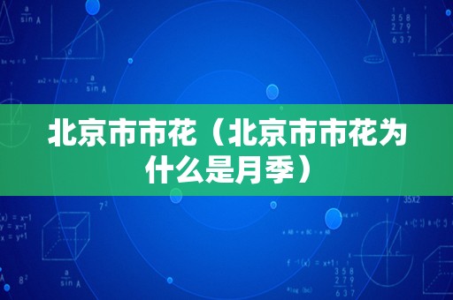 北京市市花（北京市市花为什么是月季）
