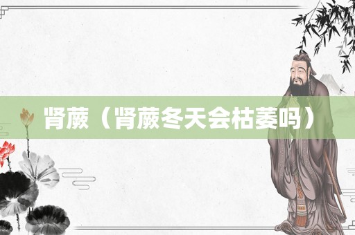 肾蕨（肾蕨冬天会枯萎吗）