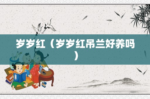 岁岁红（岁岁红吊兰好养吗）