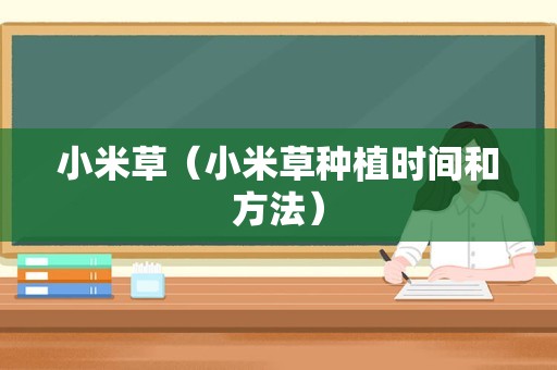 小米草（小米草种植时间和方法）