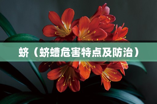 蛴（蛴螬危害特点及防治）