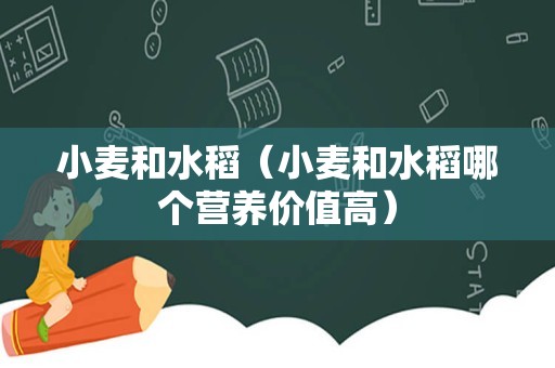 小麦和水稻（小麦和水稻哪个营养价值高）