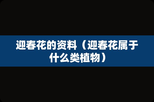 迎春花的资料（迎春花属于什么类植物）