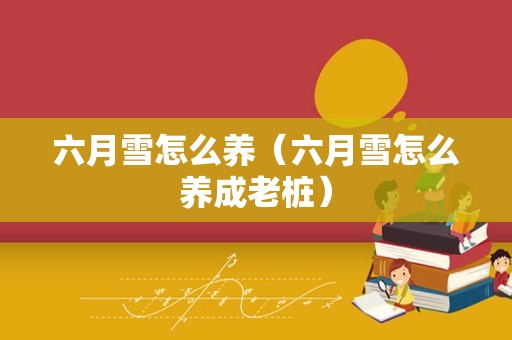 六月雪怎么养（六月雪怎么养成老桩）